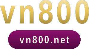 vn800 logo